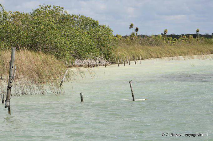 Lagoon Muyil - Mexico