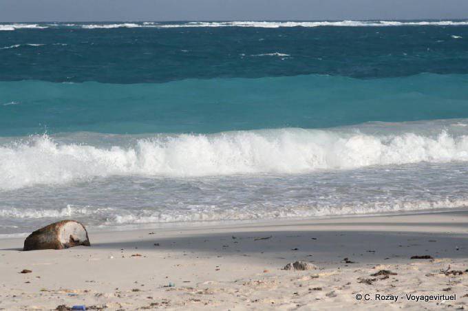 Caraible color on the deserted beach, Tulum - Mexico