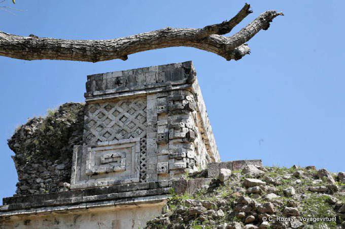 The tree and the temple, Uxmal - Mexico