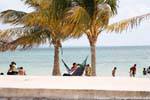 A hammock between palm trees, Puerto Juárez, Mexico.
