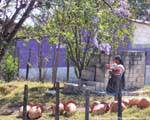 Chiapas, closes with violet tones, Mexico.