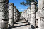 Column alignment at the foot of the warriors temple, Grupo de las Mil Columnas Chichen Itza, Mexico.
