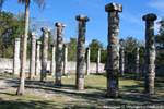 Garden inside the market, Grupo Las Mil Columnas Chichen Itza, Mexico.