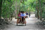 Tricycle with driver for the visit of Coba, Mexico.