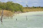 Lagoon Muyil, Mexico.