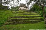At the foot of Grupo de Las Cruces, Palenque, Mexico.