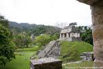 View of the northern group, Templo del Conde, Palenque, Mexico.