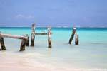 Birds on the broken dock, Puerto Morelos, Mexico.