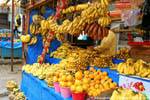 Merchant of bananas, Gran Mercado, San Cristobal de Las Casas, Mexico.