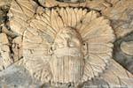Wall Quatro de las Eras, Frieze of the Dream Lords Tonina, Mexico.