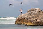 The fisherman, frigates and pelicans, Tulum, Mexico.