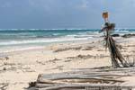 Blonde mat, sculpture made of natural materials, Tulum beach, Mexico.