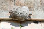 Double-headed turtle on the front of the House of the Turtles, Uxmal, Mexico.