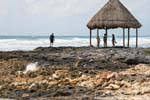 Immune to the waves, Caleta Yal Ku, Akumal, Yucatan, Mexico.