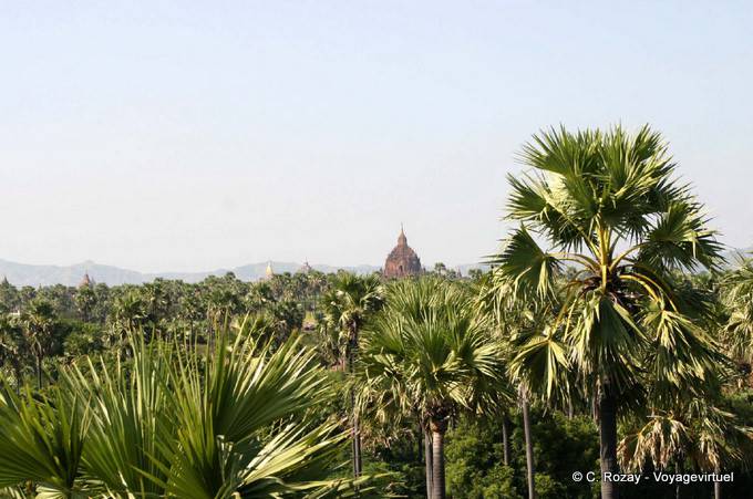 The plain of Bagan - Myanmar (Burma)