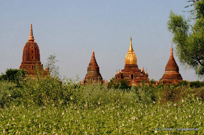 Temples and stupas around the Ananda, Bagan - Myanmar (Burma)