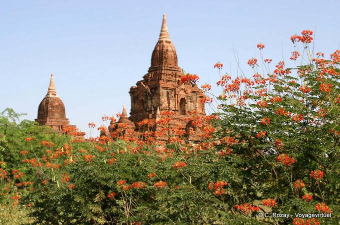 Nwar Pya Gu Temple, Old Bagan - Myanmar (Burma)
