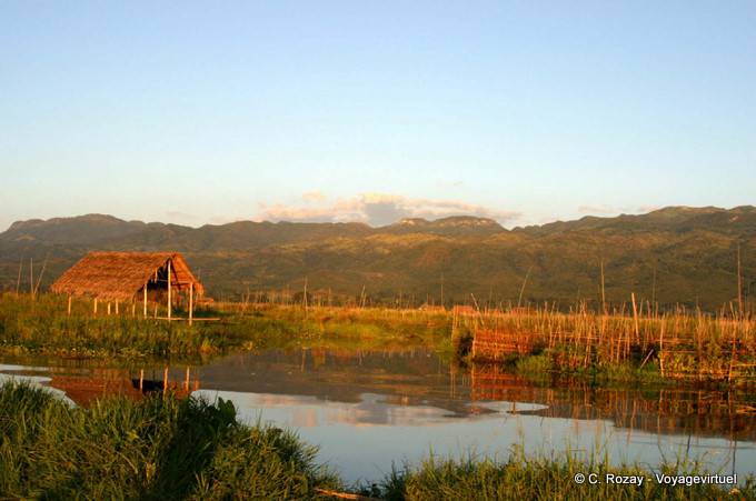 The floating gardens of Inle Lake - Myanmar (Burma)
