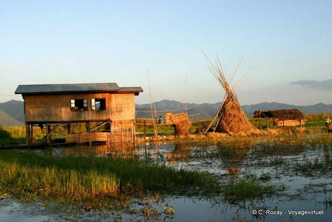 A farm built on stilts in the Cham ethnic group, Inle Lake - Myanmar (Burma)