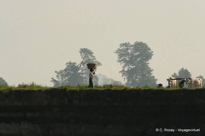 Country life on the banks of the Irrawaddy, Mandalay - Myanmar (Burma)