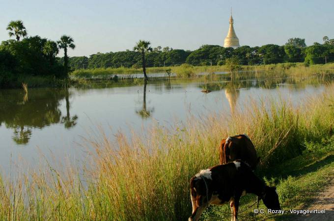 Reflections stupa and pagoda Ławka Tharahpu, Ava, Mandalay - Myanmar (Burma)