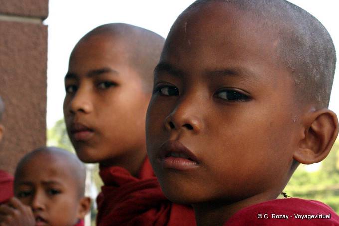 Portrait of serious young monks Rangoon - Myanmar (Burma)