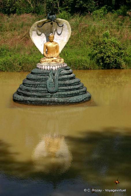 Buddhist statue protectet by a naga in the royal Kandawgyi Lake, Yangon - Myanmar (Burma)