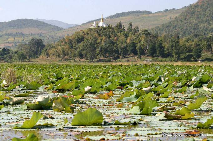 Lake landscape south of Lake Inle, Sagar - Myanmar (Burma)