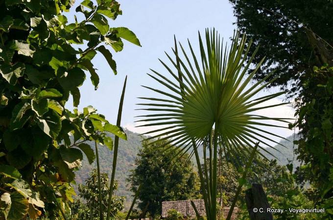 Around Taungto Village, Sagar - Myanmar (Burma)