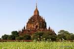 Panorama on Sulamani temple, Bagan, Burma.