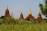 Temples and stupas around the Ananda, Bagan, Burma.