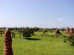 Stupas in the green grass, Bagan, Burma.