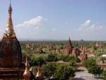 The forest temple view from the Lemyethna temple, Bagan, Burma.