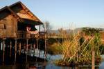 Children in lake floating house and garden, Inle Lake, Burma.