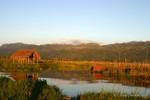 The floating gardens of Inle Lake, Burma.