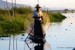 Intha fisherman near a floating garden, Inle Lake, Burma.