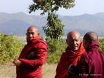 Old Burmese monks in ruby ​​red, Inle Lake, Burma.