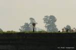 Country life on the banks of the Irrawaddy, Mandalay, Burma.