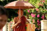 Mingun, the monk with umbrella, Mandalay, Burma.