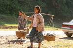 Young Burmese carrying a balance, Kyaukpadaung Road, Mount Popa, Burma.