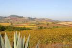 Color landscapes around Pindaya, Burma.
