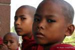 Portrait of serious young monks Rangoon, Burma.