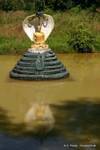 Buddhist statue protectet by a naga in the royal Kandawgyi Lake, Yangon, Burma.