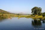 Landscape browsing the Belu Chaung to Lake Sankar (Sagar), Burma.