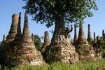 Tree growing on a stupa, Sagar, Burma.