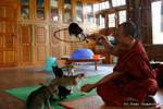 Monk trainer jumping cats Nga Phe Chaung Monastery, Inle Lake, Sagar, Burma.