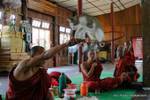 Cat jumping through a hoop, Nga Phe Chaung Monastery, Inle Lake, Sagar, Burma.