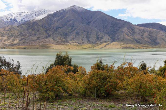 Summer colors, Lake Benmore, Canterbury - New Zealand
