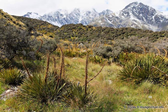 Moraine, Mount Cook Road, Canterbury - New Zealand