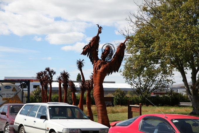 Funny tree Timaru, Canterbury - New Zealand
